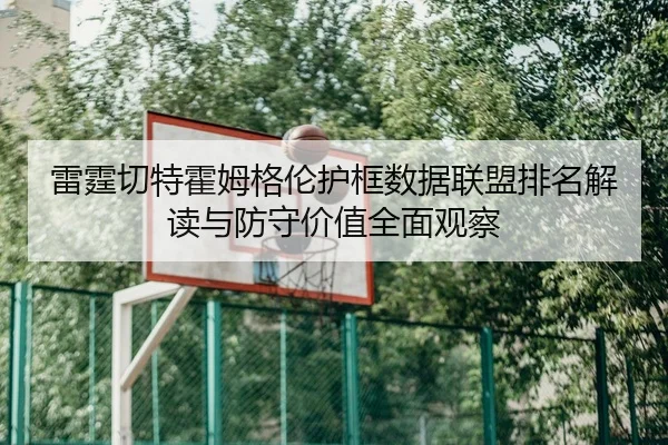 雷霆切特霍姆格伦护框数据联盟排名解读与防守价值全面观察